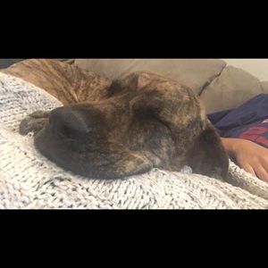 Meet your Posher, Allison